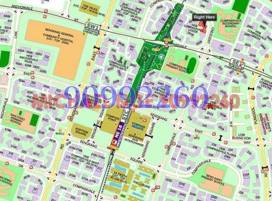 Blk 292A Compassvale Street (Sengkang), HDB 5 Rooms #84391242